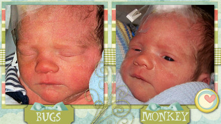 twinnewbornmontage