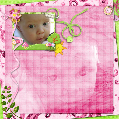 dolly
