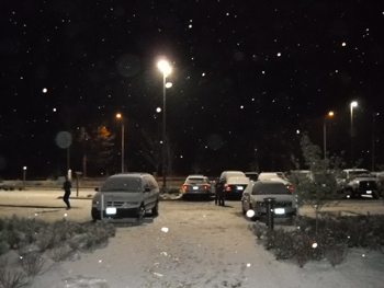 greatwolfsnowoutside